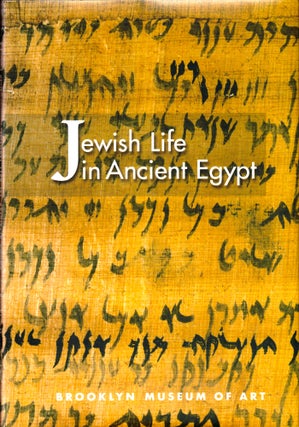 Item #36222 Jewish Life in Ancient Egypt: A Family Archive From the Nile Valley. Edward Bleiberg