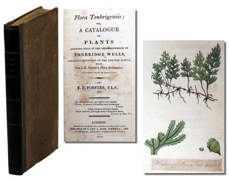 Item #45484 Flora Tonbrigensis; Or A Catalogue of Plants Growing Wild in the Neighbourhood of Tonbridge Wells Arranged According to the Linnean System From Sir J.E. Smith's Flora Botanica. T. F. Forster.
