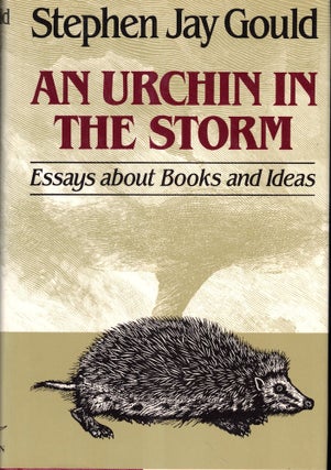 Item #54511 An Urchin in the Storm: Essays About Books and Ideas. Stephen Jay Gould
