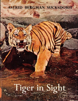 Item #55014 Tiger in Sight. Astrid Bergman Sucksdorff