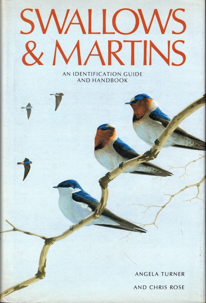 Item #55202 Swallows and Martins: An Identification Guide and Handbook. Steve Madge, Hilary Burn.