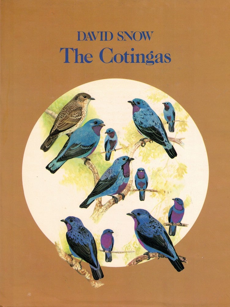 Item #55211 The Cotingas: Bellbirds, Umbrellabirds, and Other Species. David Snow.