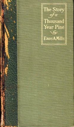 Item #55247 The Story of a Thousand Year Pine. Enos A. Mills