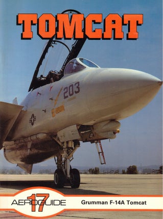 Item #62380 Grumman F-14A Tomcat. Roger Chesneau